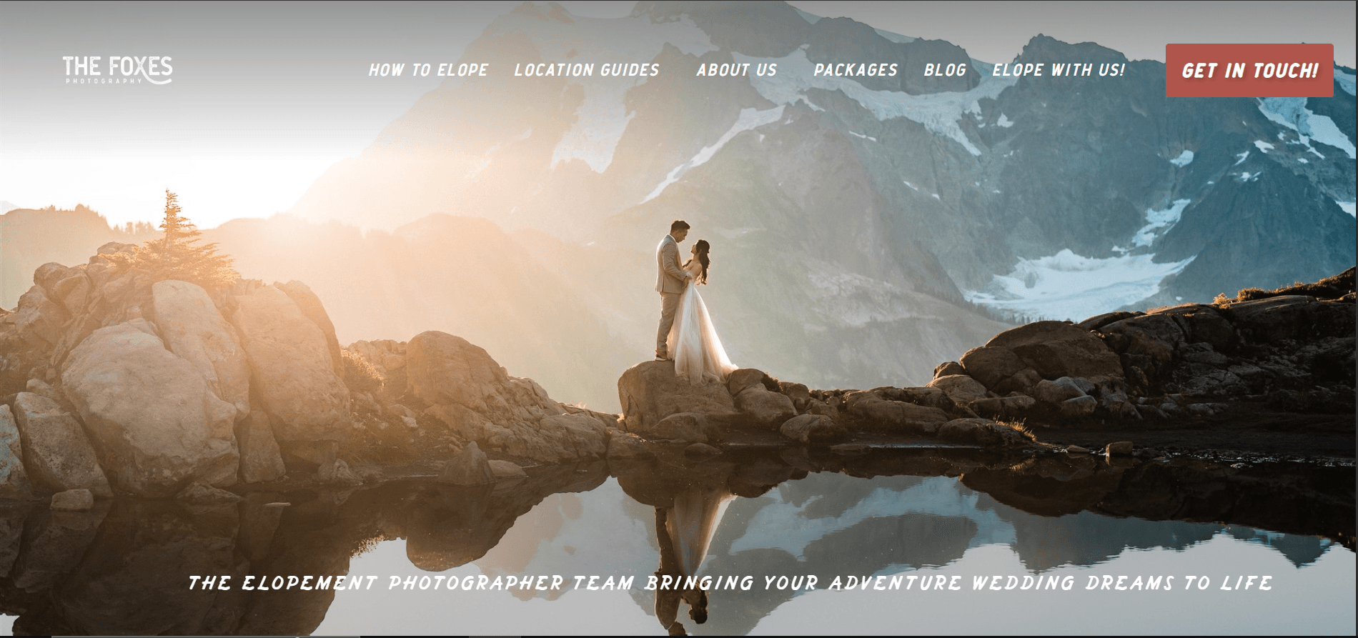 The Foxes Photography